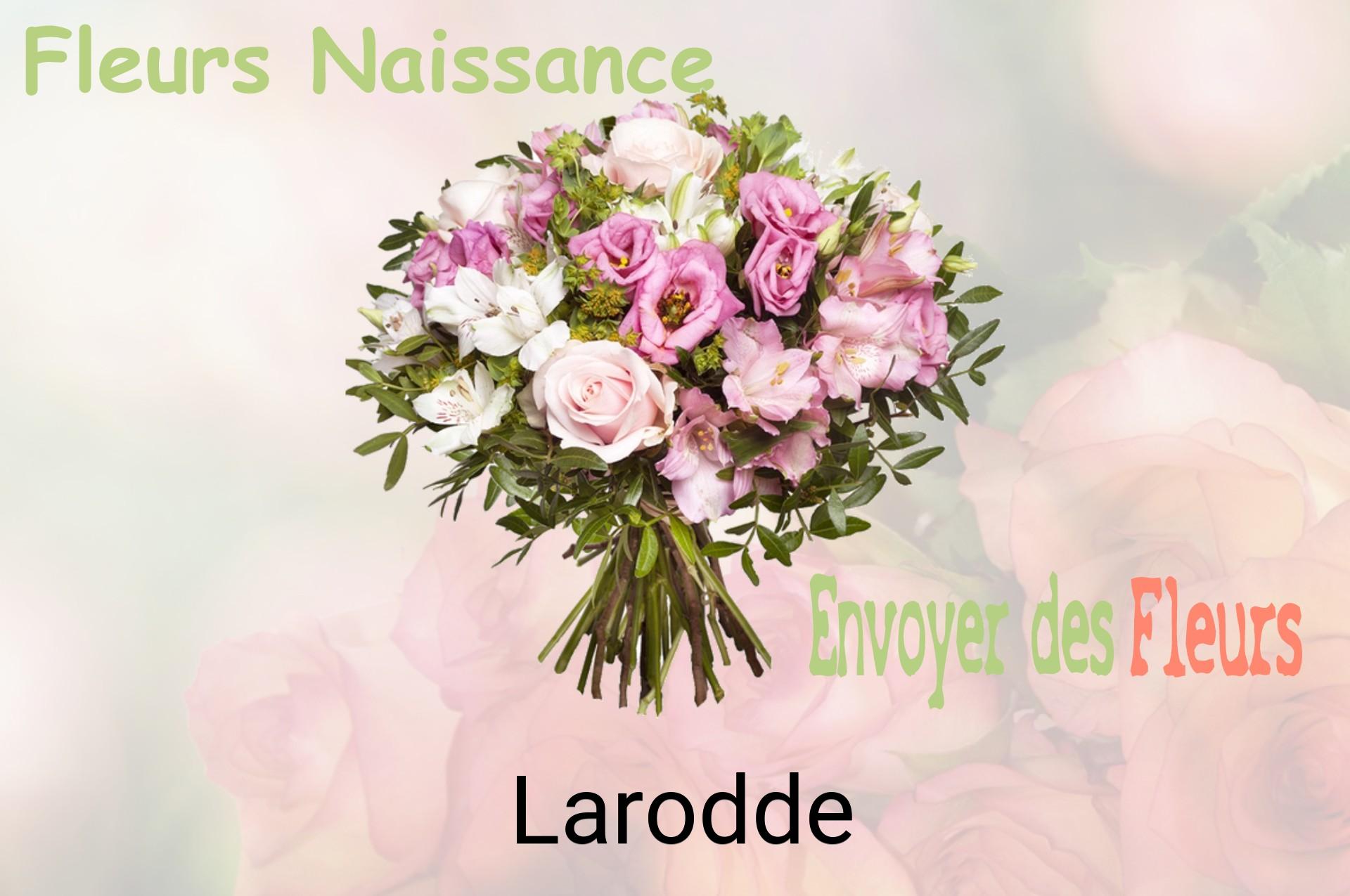 Bouquet de fleurs de naissance livré à Larodde