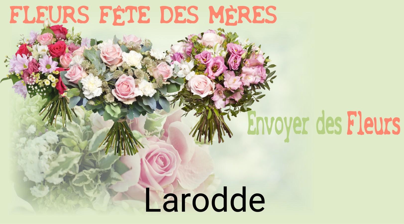 Bouquet de Fête des Mères livré à Larodde